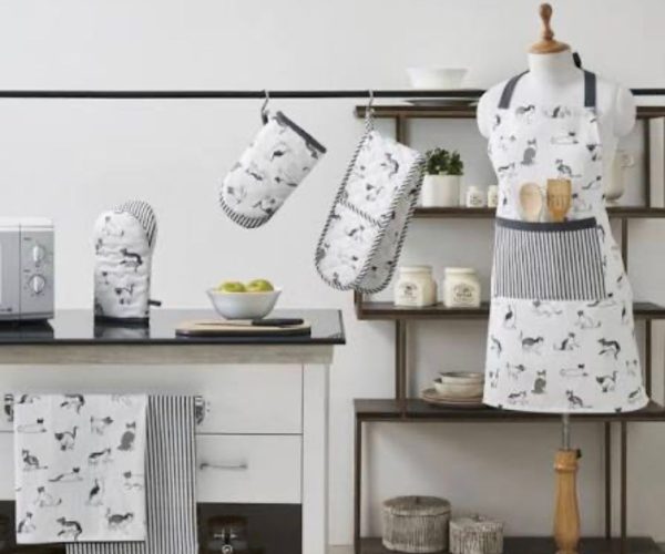 WhatsApp Image 2026-01-21 at 7.16.55 PM (1)