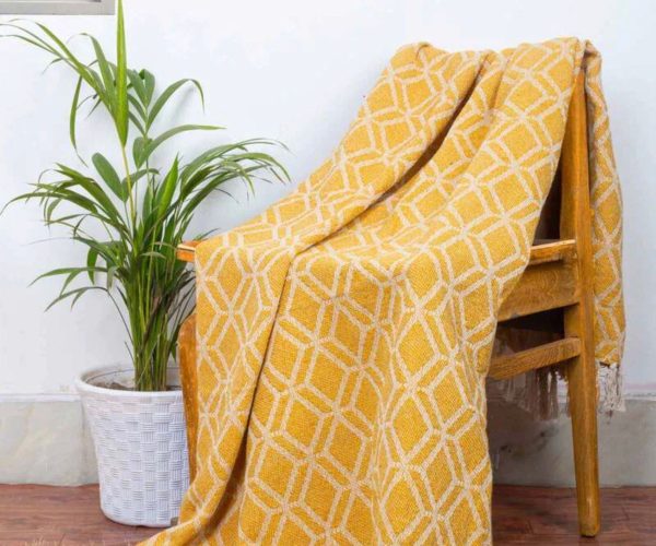 WhatsApp Image 2026-02-03 at 7.51.56 PM